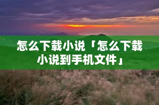 怎么下载小说「怎么下载小说到手机文件」