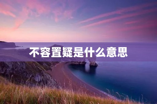 不容置疑是什么意思