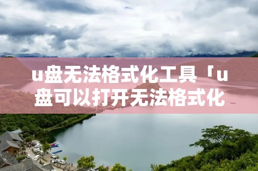 u盘无法格式化工具「u盘可以打开无法格式化」