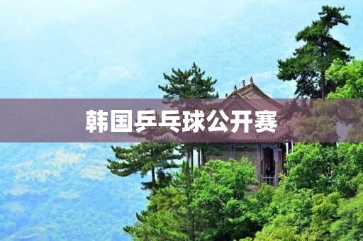 韩国乒乓球公开赛：为乒乓球爱好者带来的盛宴