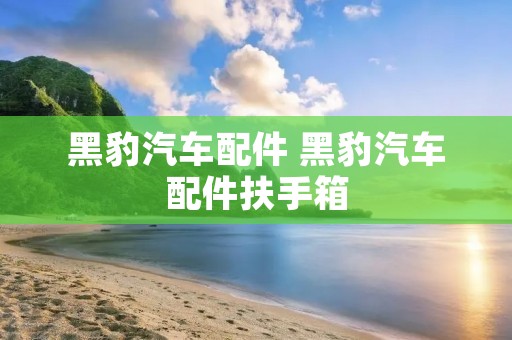 黑豹汽车配件 黑豹汽车配件扶手箱