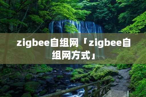 zigbee自组网「zigbee自组网方式」