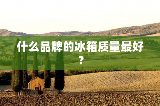 什么品牌的冰箱质量最好？