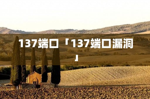 137端口「137端口漏洞」