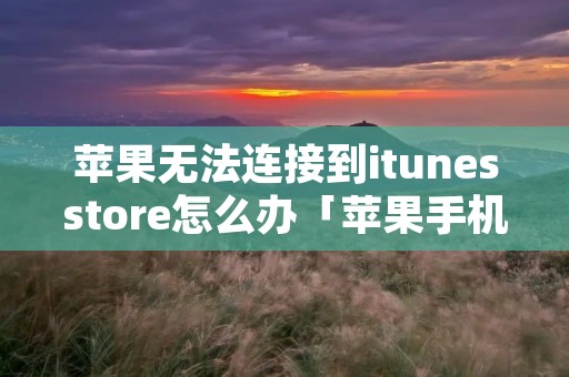 苹果无法连接到itunesstore怎么办「苹果手机无法连接到itunesstore怎么办」 苹果无法连接到itunesstore怎么办「苹果手机无法连接到itunesstore怎么办」