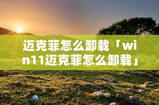 迈克菲怎么卸载「win11迈克菲怎么卸载」 迈克菲怎么卸载「win11迈克菲怎么卸载」