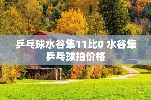 乒乓球水谷隼11比0 水谷隼乒乓球拍价格 乒乓球水谷隼11比0 水谷隼乒乓球拍价格