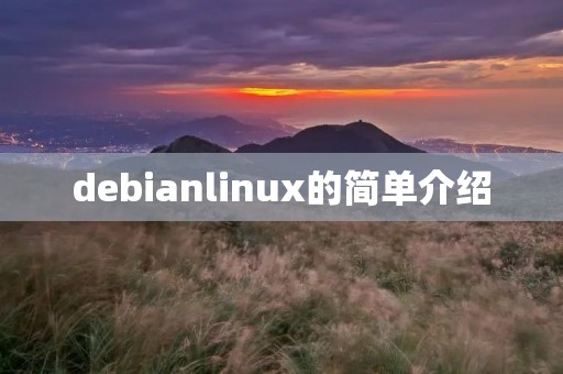 debianlinux的简单介绍