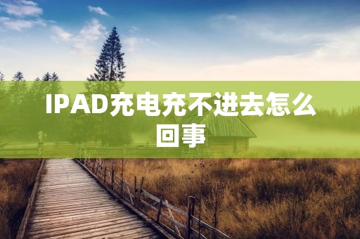 IPAD充电充不进去怎么回事 IPAD充电充不进去怎么回事
