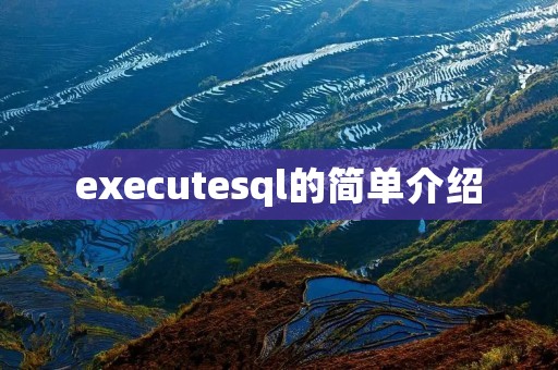 executesql的简单介绍