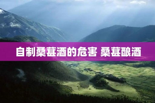 自制桑葚酒的危害 桑葚酿酒