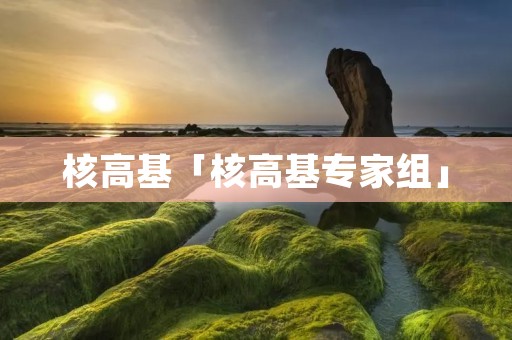 核高基「核高基专家组」 核高基「核高基专家组」