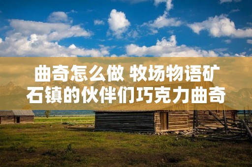 曲奇怎么做 牧场物语矿石镇的伙伴们巧克力曲奇怎么做