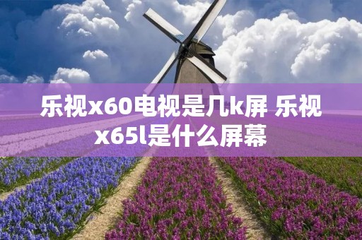 乐视x60电视是几k屏 乐视x65l是什么屏幕
