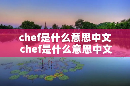 chef是什么意思中文 chef是什么意思中文翻译是什么意