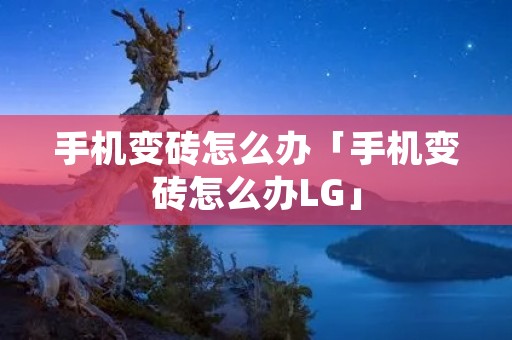 手机变砖怎么办「手机变砖怎么办LG」 手机变砖怎么办「手机变砖怎么办LG」