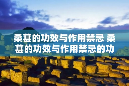 桑葚的功效与作用禁忌 桑葚的功效与作用禁忌的功效与作用及禁忌