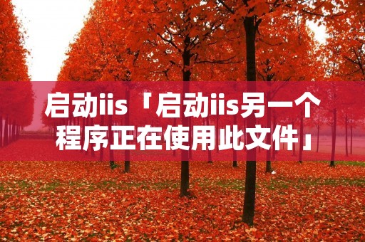 启动iis「启动iis另一个程序正在使用此文件」 启动iis「启动iis另一个程序正在使用此文件」