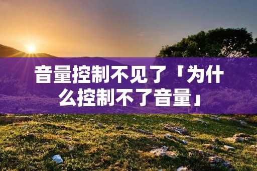 音量控制不见了「为什么控制不了音量」