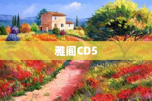 雅阁CD5：给你全新驾驶体验