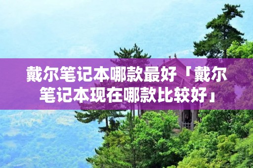 戴尔笔记本哪款最好「戴尔笔记本现在哪款比较好」