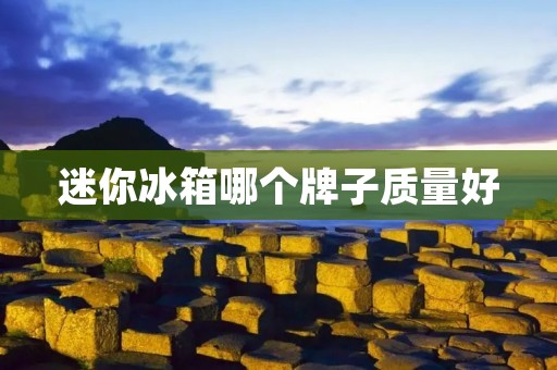 迷你冰箱哪个牌子质量好
