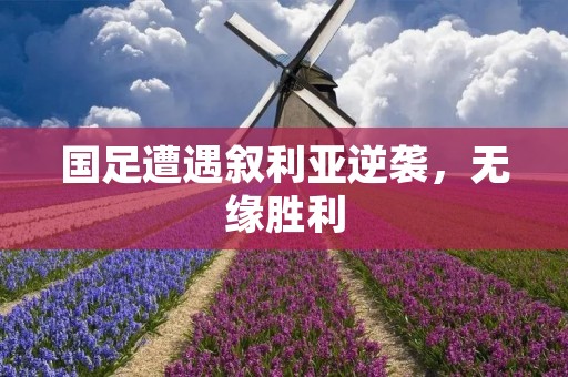 国足遭遇叙利亚逆袭，无缘胜利