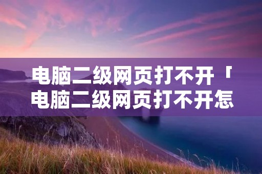 电脑二级网页打不开「电脑二级网页打不开怎么回事」