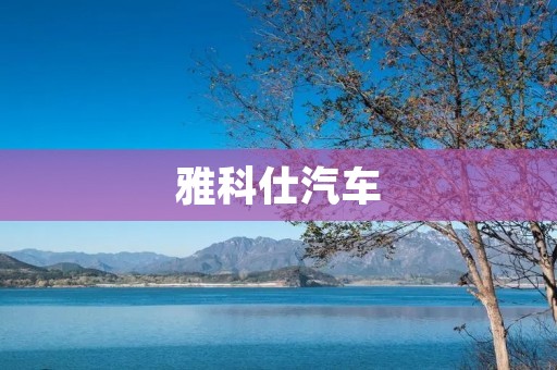 雅科仕汽车：奢华与科技的完美结合