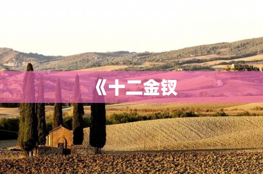 《十二金钗：历史之谜与传奇故事》
