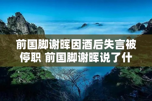 前国脚谢晖因酒后失言被停职 前国脚谢晖说了什么话 前国脚谢晖因酒后失言被停职 前国脚谢晖说了什么话