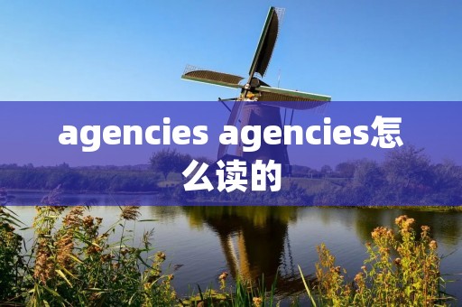 agencies agencies怎么读的