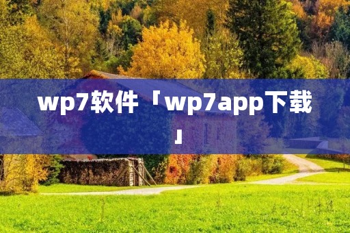 wp7软件「wp7app下载」