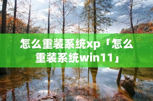 怎么重装系统xp「怎么重装系统win11」 怎么重装系统xp「怎么重装系统win11」