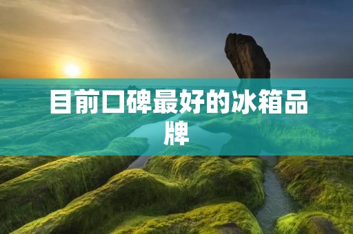 目前口碑最好的冰箱品牌：为你带来高品质冷藏体验