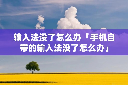 输入法没了怎么办「手机自带的输入法没了怎么办」