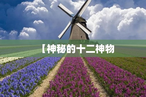 【神秘的十二神物：探寻古老的传说与奥秘】