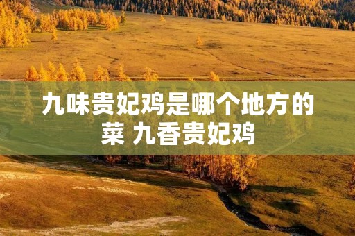 九味贵妃鸡是哪个地方的菜 九香贵妃鸡