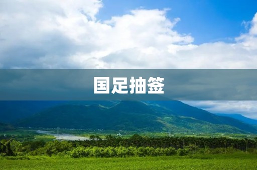 国足抽签：抢夺世界杯入场券的机会