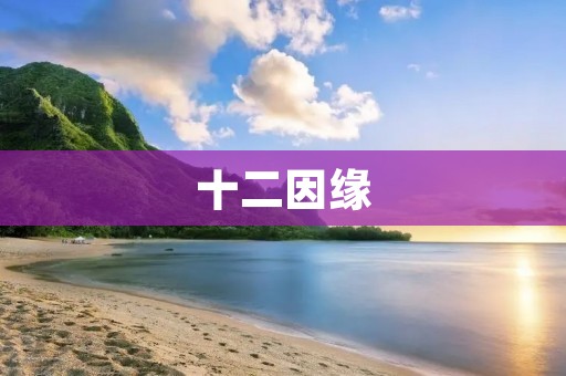 十二因缘：探索命运的无常之道