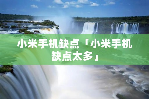 小米手机缺点「小米手机缺点太多」