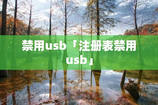 禁用u**「注册表禁用u**」 禁用u**「注册表禁用u**」