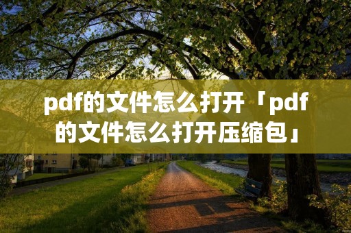 pdf的文件怎么打开「pdf的文件怎么打开压缩包」