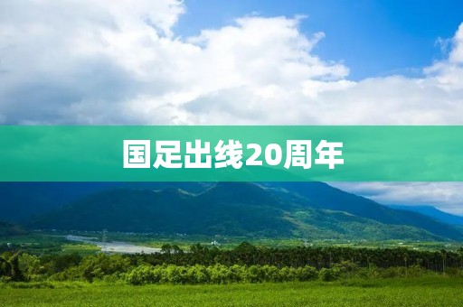国足出线20周年：回顾历程，展望未来