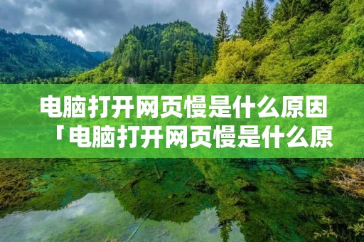 电脑打开网页慢是什么原因「电脑打开网页慢是什么原因引起的」
