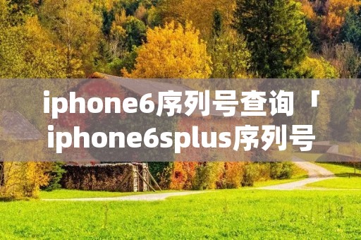iphone6序列号查询「iphone6splus序列号查询」