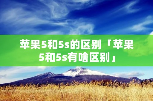 苹果5和5s的区别「苹果5和5s有啥区别」