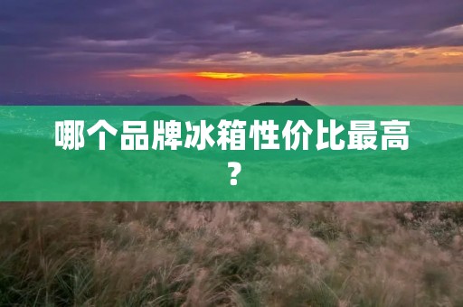 哪个品牌冰箱性价比最高？
