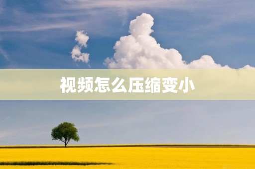 视频怎么压缩变小