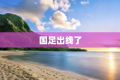 国足出线了:中国足球的胜利之路 国足出线了:中国足球的胜利之路